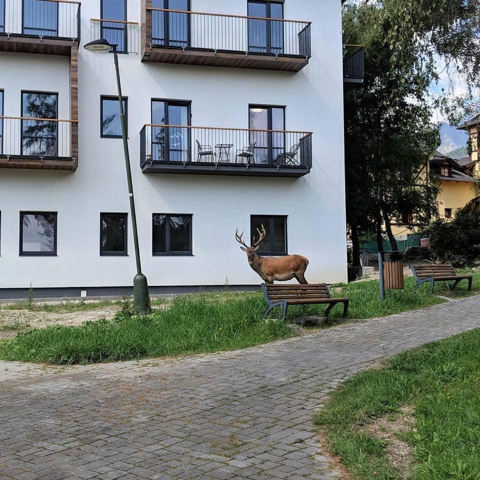 Apartman Hory - V Srdci Tatier Vysoké Tatry Extérieur photo