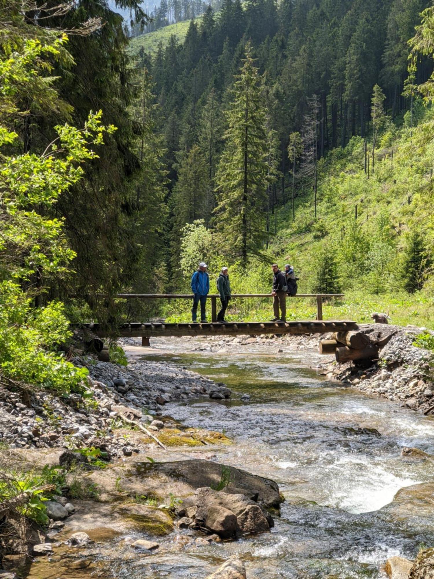 Apartman Hory - V Srdci Tatier Vysoké Tatry Extérieur photo